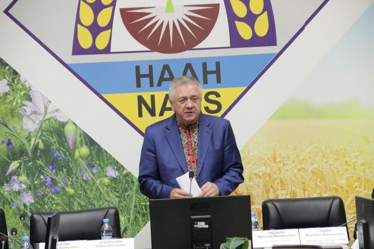 ������� �����: ���� ������ ���� ������� ������������ �������, ������������� ��� ������������